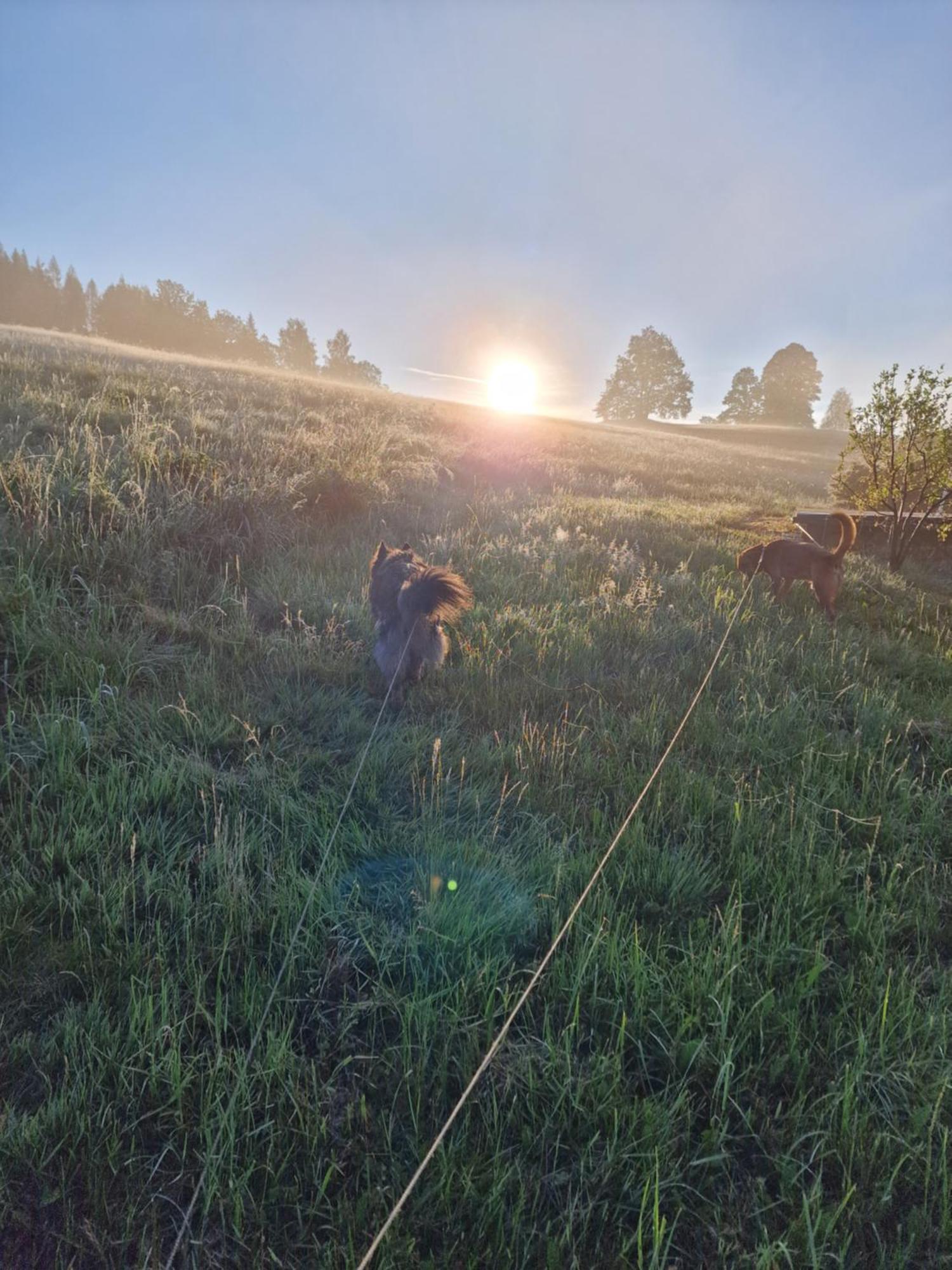 Agro Na Gorce Villa Barcinek Buitenkant foto